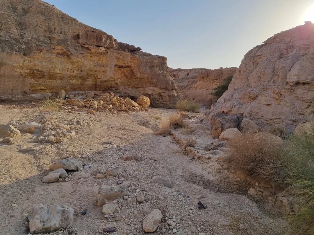 Felsige Landschaft in der Wüste Juda